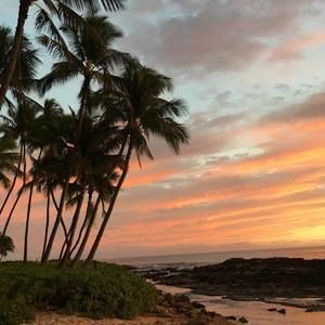 Meet your Posher, Alice